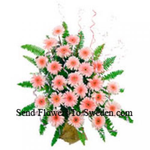 25 Cute Pink Gerberas