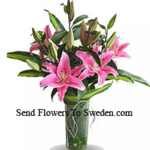 Cute Pink Lilies