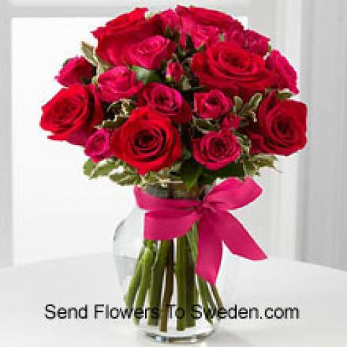 19 Cute Red Roses with Pink Bow